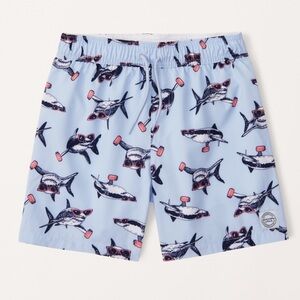 Abercrombie Kids Boy’s Swim Trunks size 13/14